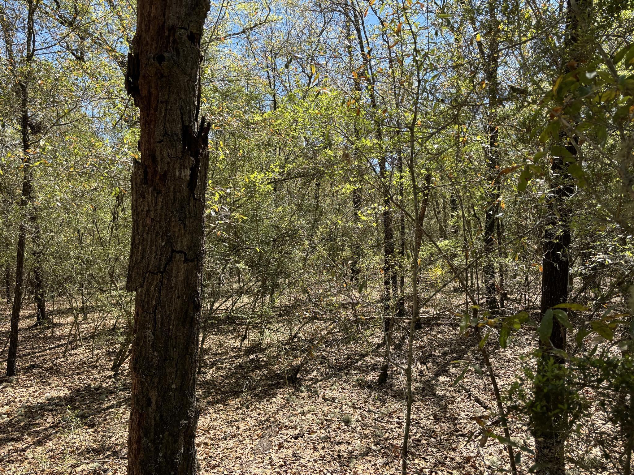 Belle Highland Est 1st Add - Land