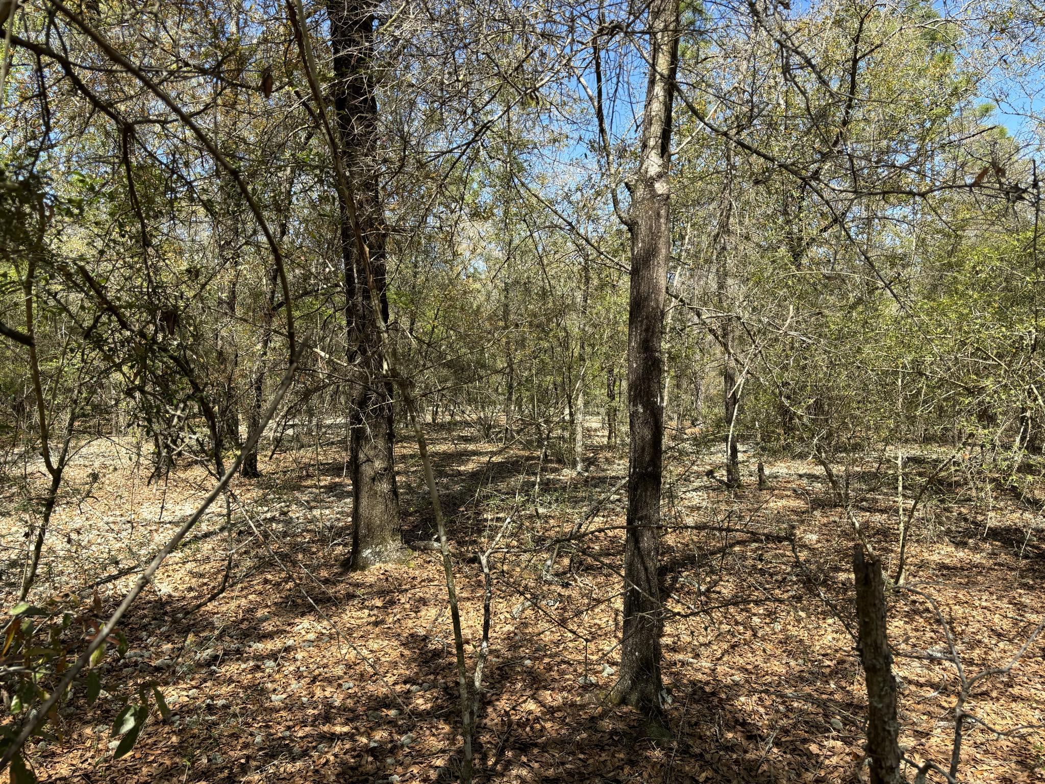 Belle Highland Est 1st Add - Land