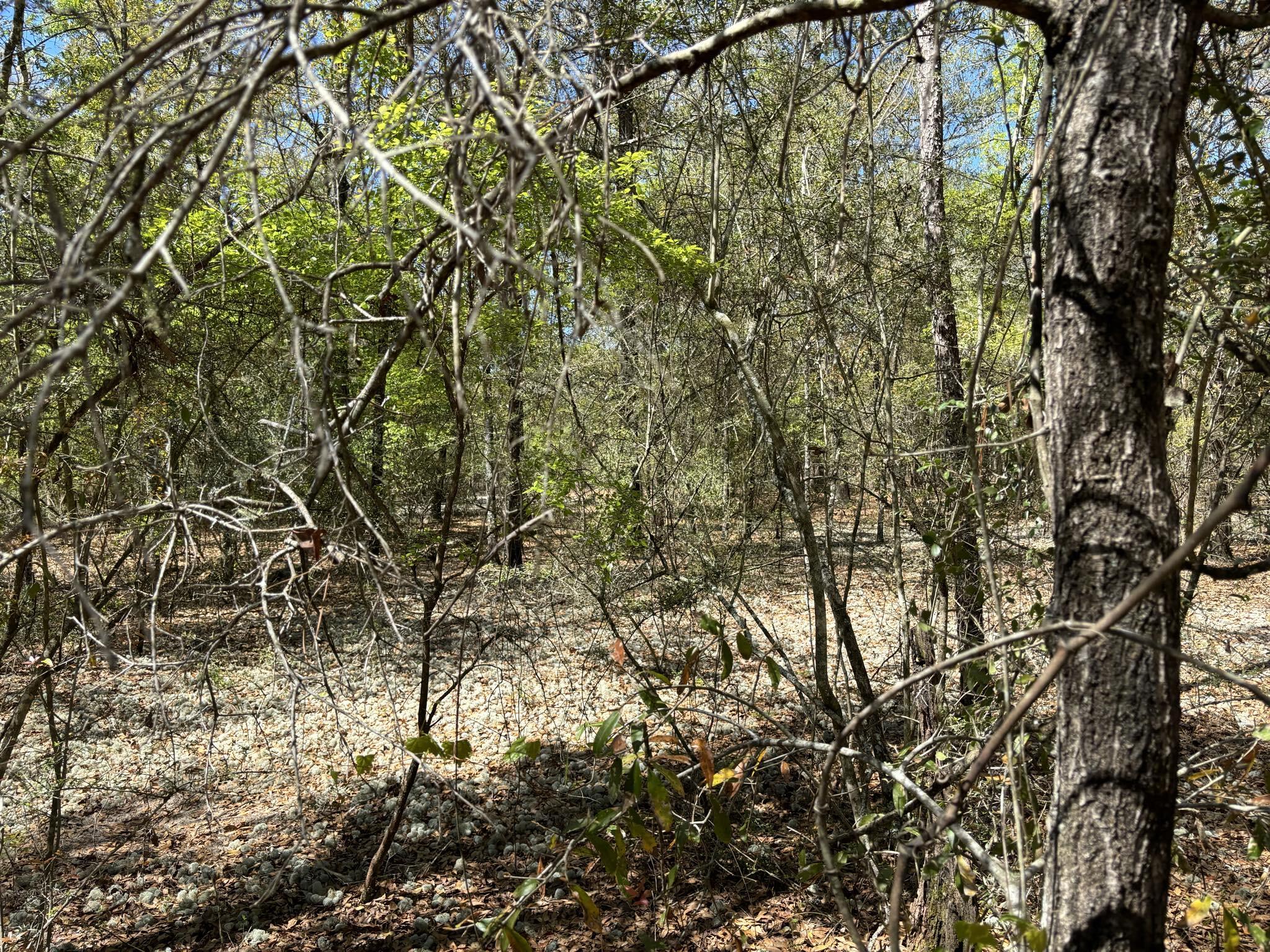 Belle Highland Est 1st Add - Land