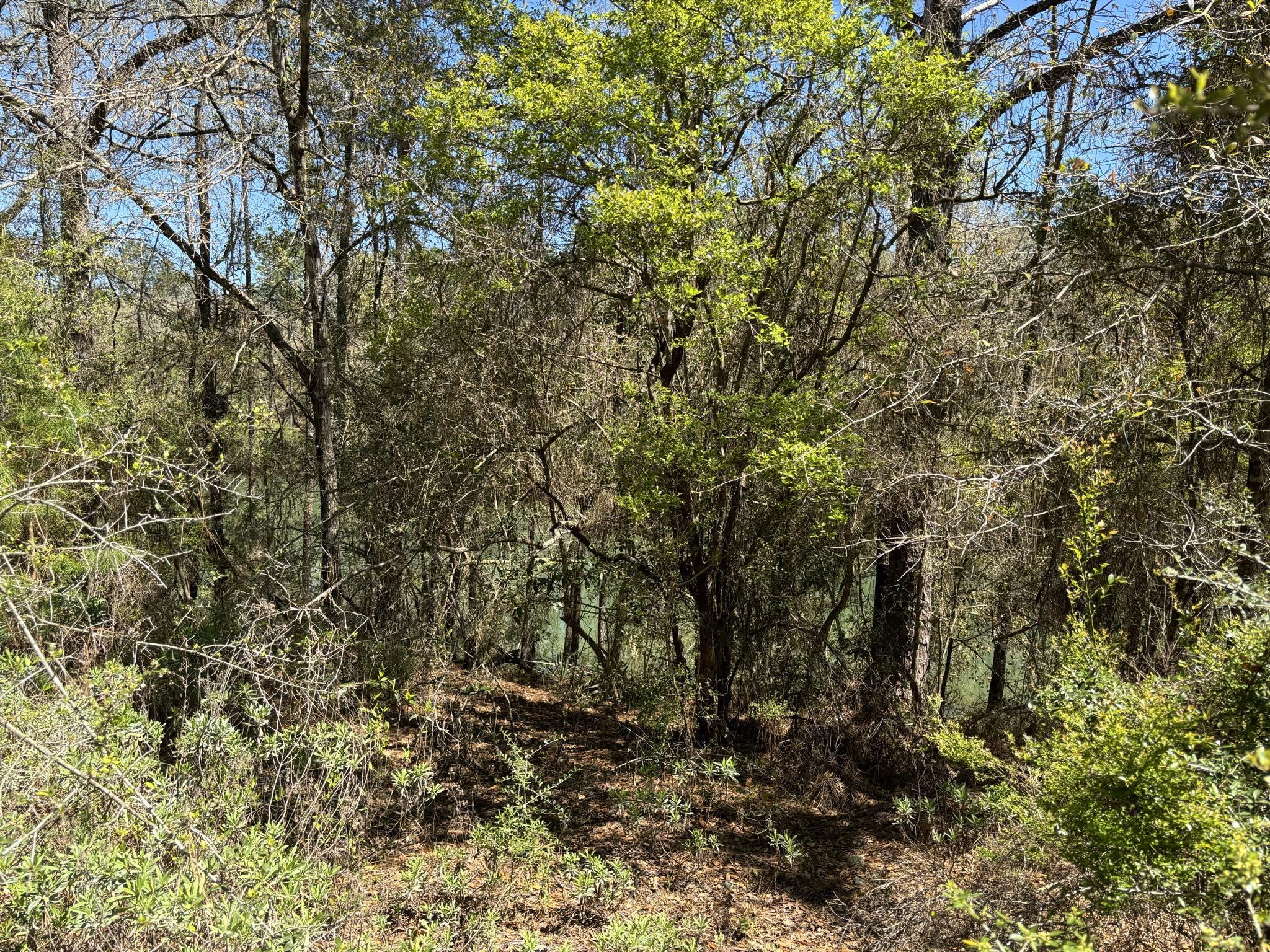 Belle Highland Est 1st Add - Land