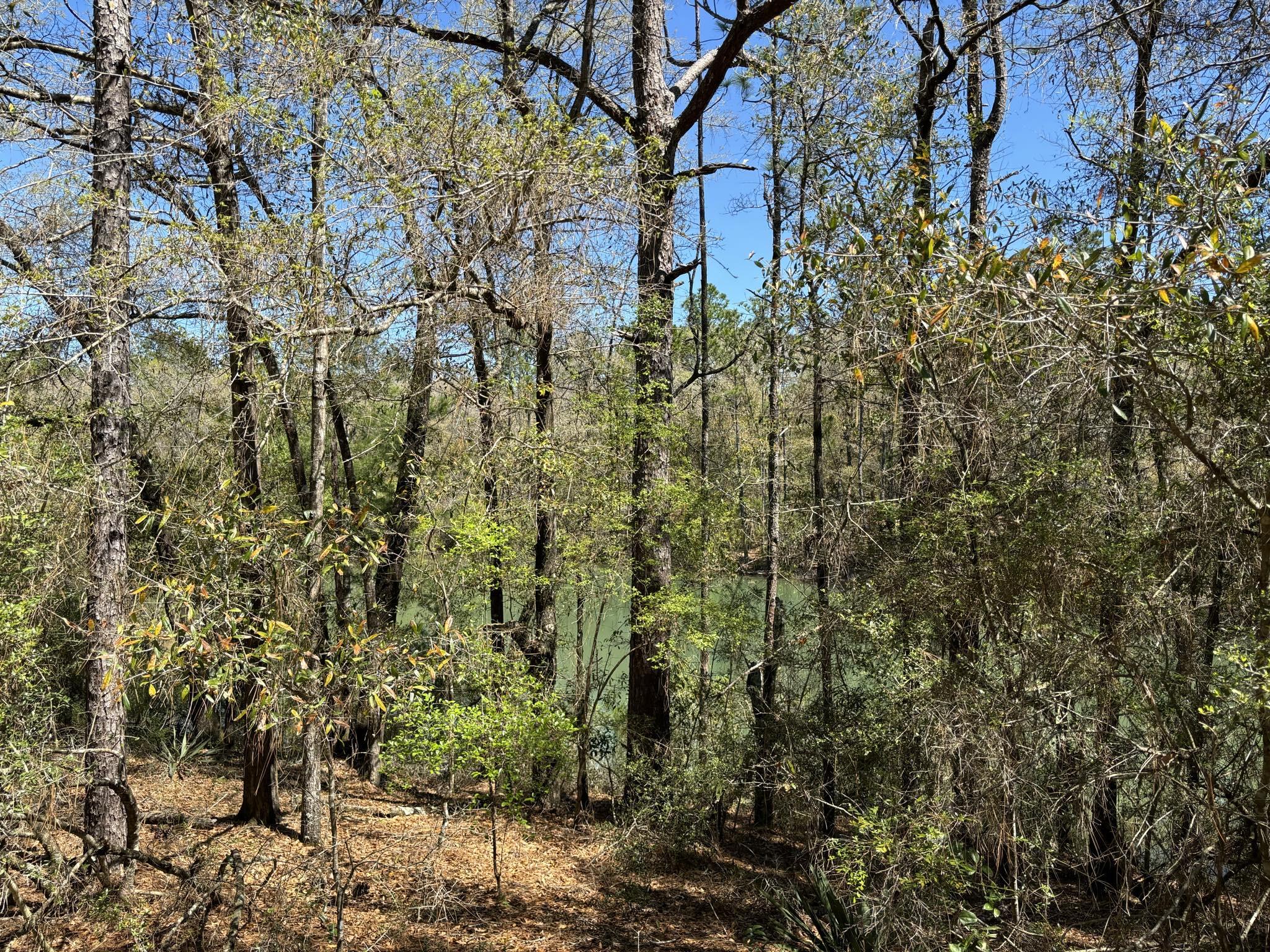 Belle Highland Est 1st Add - Land