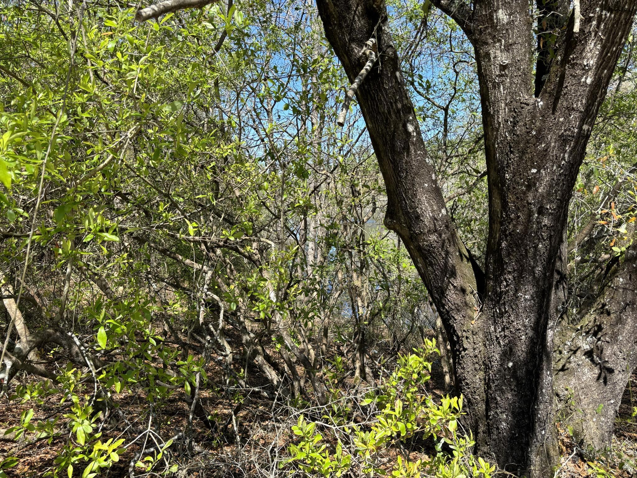 Belle Highland Est 1st Add - Land