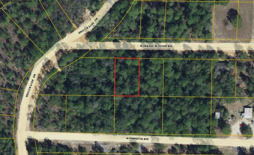 Nice buildable lot in the Mossy Head area. The lot has water and power available; however, it will require a septic system. The property is centrally located to Crestview, Niceville and historic DeFuniak Springs, recently voted the Best Small Town in Florida by msn.com.
