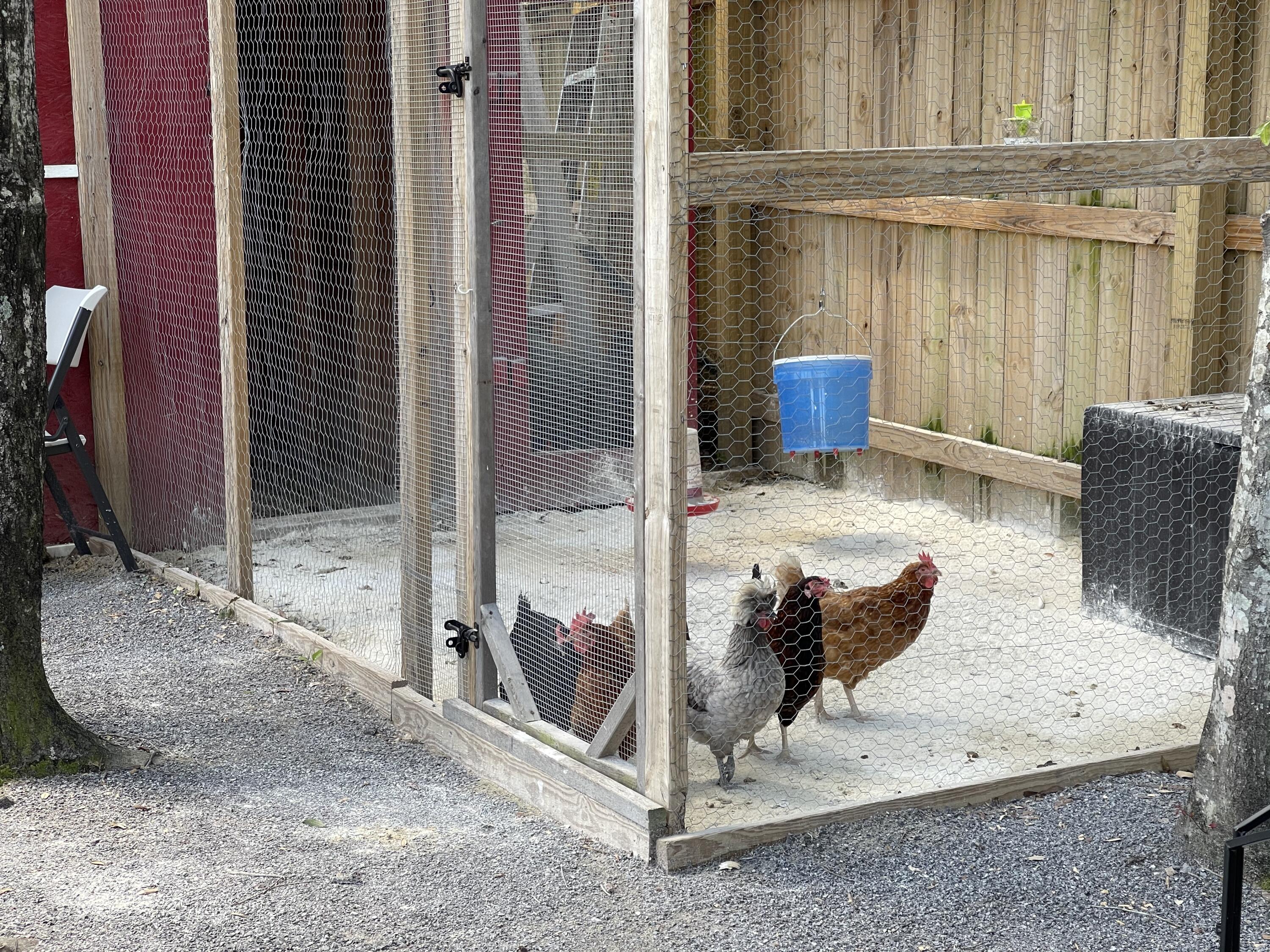 PLANTATION WOODS - Residential