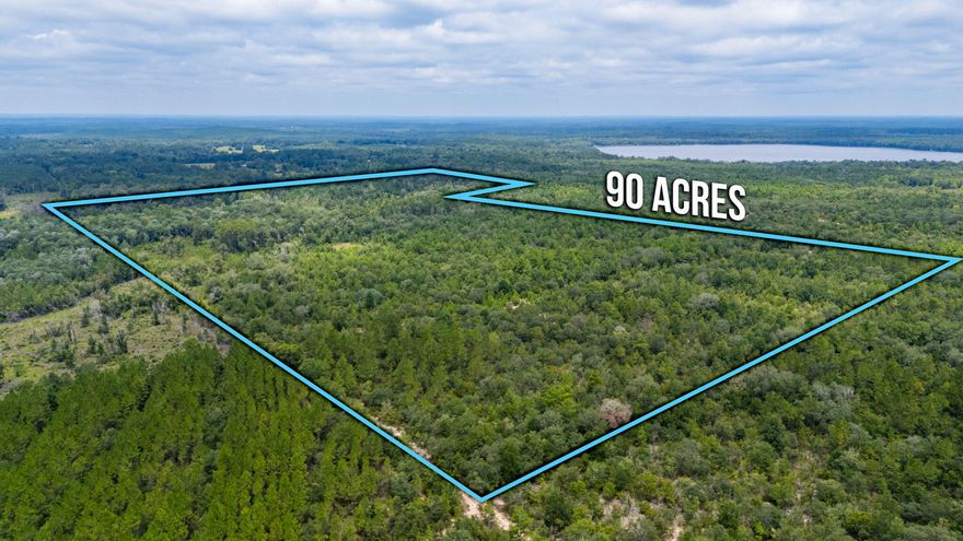 Looking for the perfect family dream location just North of Panama City?  This 90+/- acres is a dream location that offers you privacy, woods, a creek, pond, hunting, amazing views to build your dream home all with the convince to the Beach and work! Surrounded by large oaks and natural Florida vegetation this property gives you a sense of country living with all the options of coastal living included. Property allows for farming, livestock, and mobile homes are allowed. Maybe you are just needing a weekend getaway - this is the dream hunting land and family compound to relax. Call today to view the creek, stream, pond, wildlife and abundance of such a large tract of land less than 60 minutes from the Gulf!