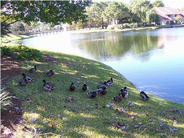 BEACHWALK VILLAS PH 03 - Residential