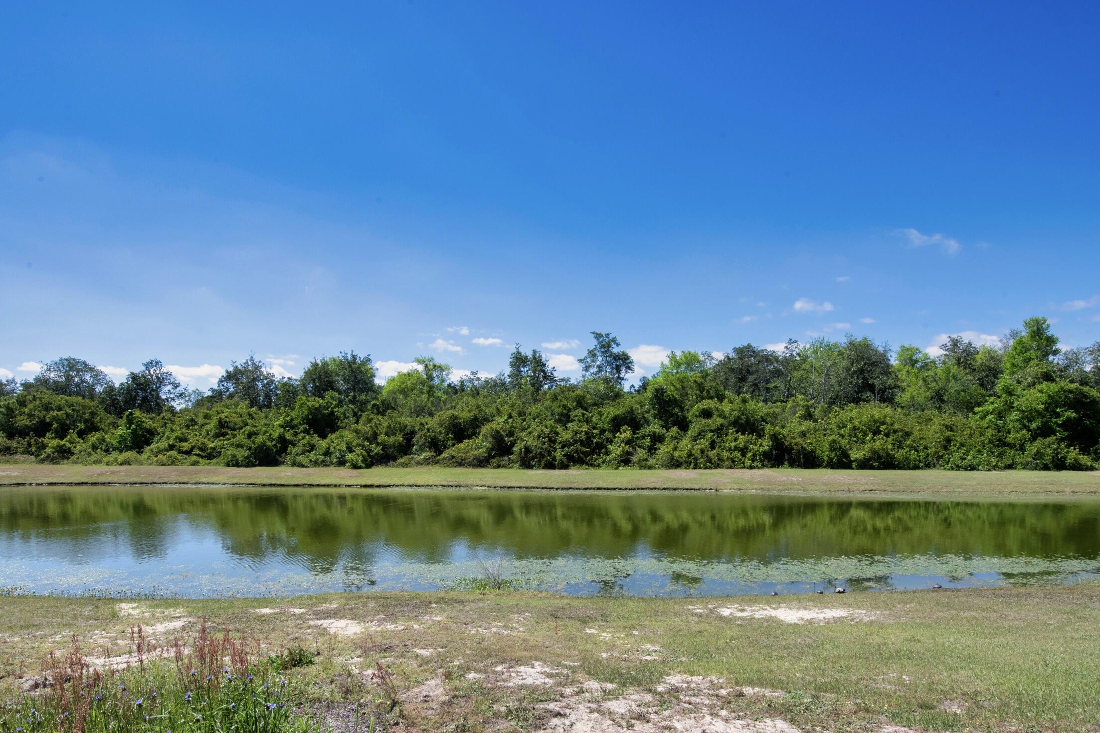 HAMMOCK BAY - CENTRAL PARK - Residential