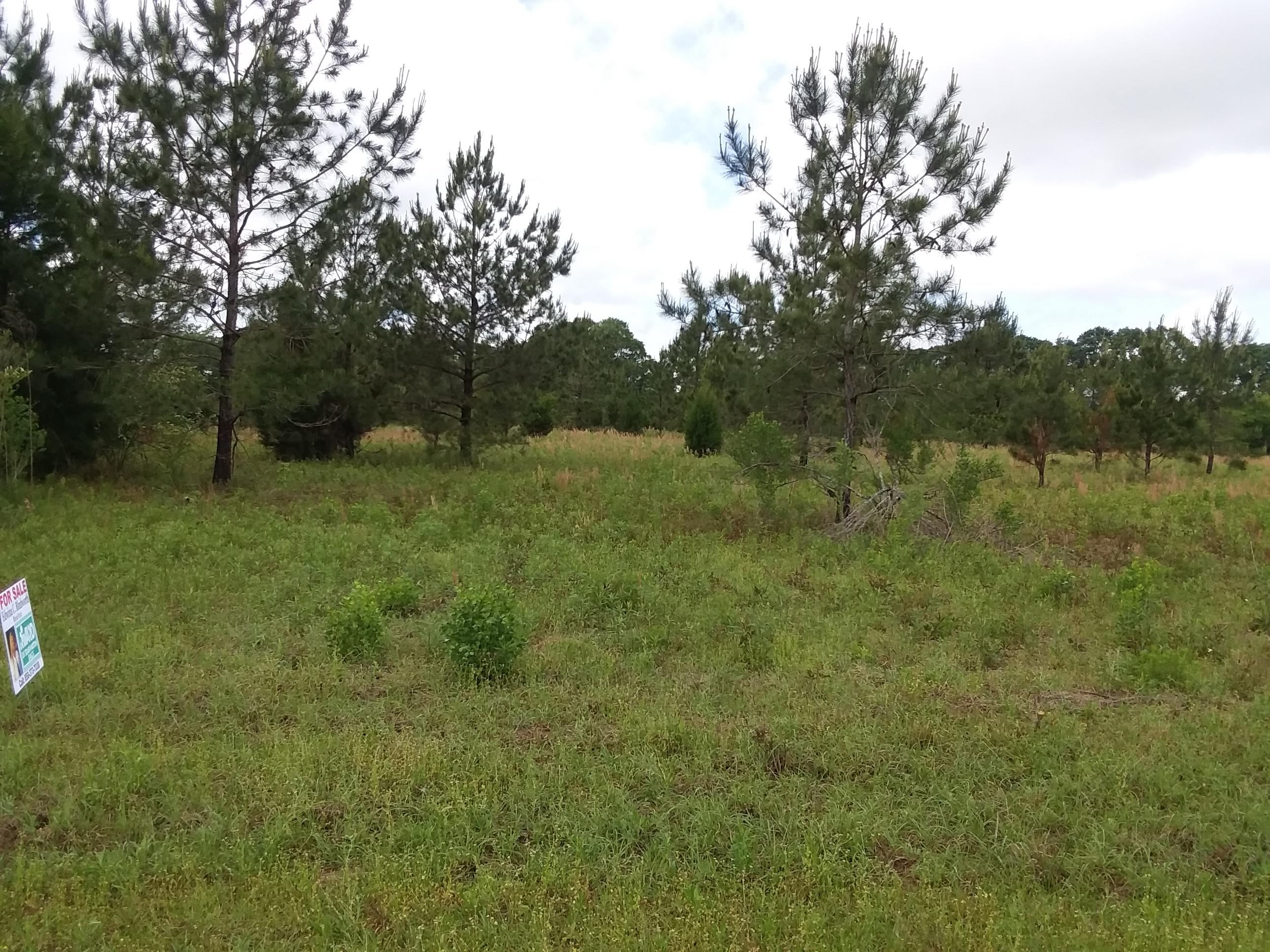 1 Acre cul-de-sac building lot in Lake Pointe Subdivision. Very quiet neighborhood on the out skirts of Chipley. This neighborhood is very quiet and offers a pond and play ground for its residents.