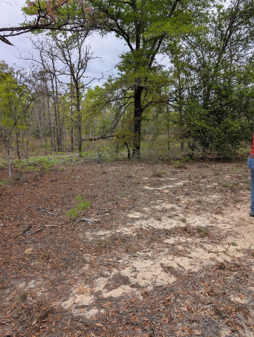 This property is partially cleared with no recorded legal access at this time. There are 4 wheeler trails throughout the area to currently access. This is a great opportunity to be off grid. Camp & use as a private hunting retreat or hold for future investment. Some partial clearing has been done for camping or food plots. Property is high & dry but there is a creek nearby, making for prime hunting territory.