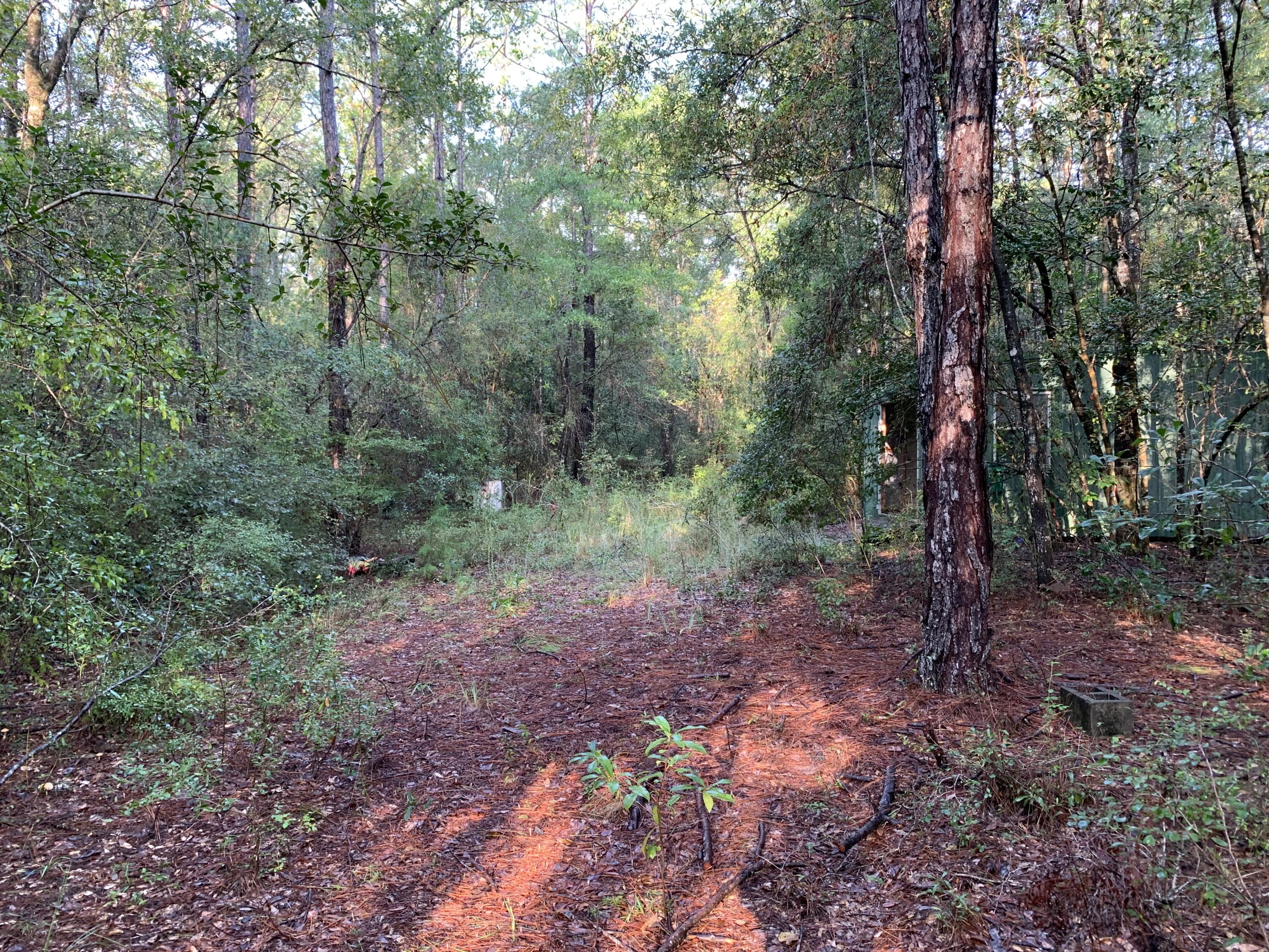 METES & BOUNDS - Farm