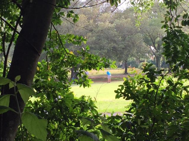 POWELL S/D - Residential