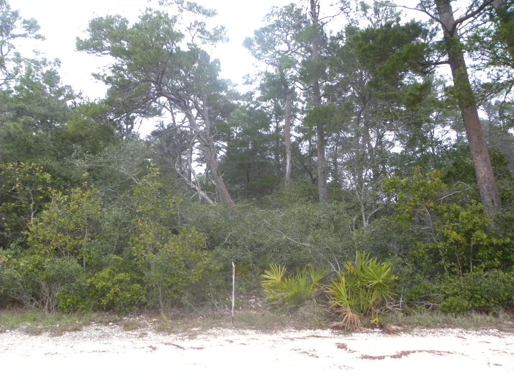 Vacant land for sale in the up and coming Inlet Beach! Enjoy being close to 30A and the public beaches along the Gulf. Short stroll to Powell Lake with fishing pier.