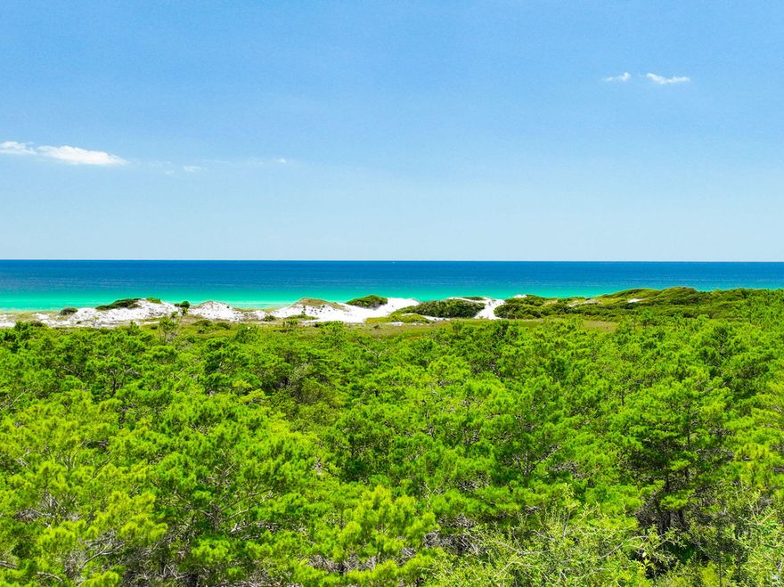 PANORAMIC GULF/PARK VIEWSTHIS LOT IS ONE OF THE BEST LOTS ON 30A!Welcome to the stunning Cypress Dunes subdivision, a hidden gem nestled on the West end of 30A's south side. This exceptional lot offers a rare opportunity to build your dream home in one of the most desirable communities along the Emerald Coast .Immerse yourself in the beauty of nature and breathtaking, State Park. Cypress Dunes is a gated community that borders the pristine Topsail Hill State Park and Preserve, ensuring a serene and tranquil living experience.Indulge in resort-style living with an array of exceptional amenities. Picture yourself lounging by not one, but two exquisite pools, including a grand infinity edge pool that overlooks the mesmerizing Gulf & preserve. A luxury clubhouse with a chef's kitchen and large TV,
Fitness center, tennis and pickleball courts, outdoor fireplace, and a green space for kids and pets.
Scenic boardwalks and walking trails through century-old Cypress ponds and wildlife areas.


