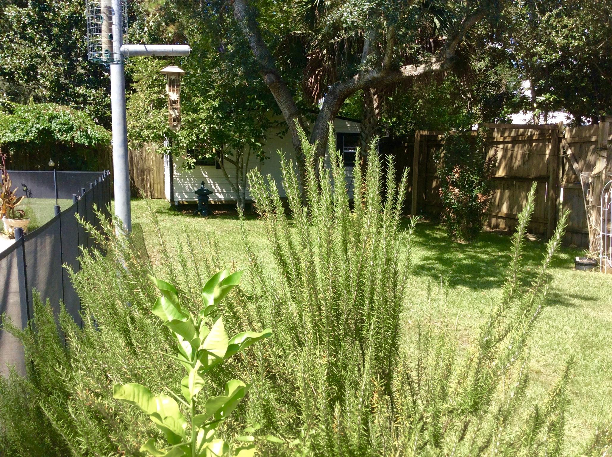 POQUITO BAYOU - Residential