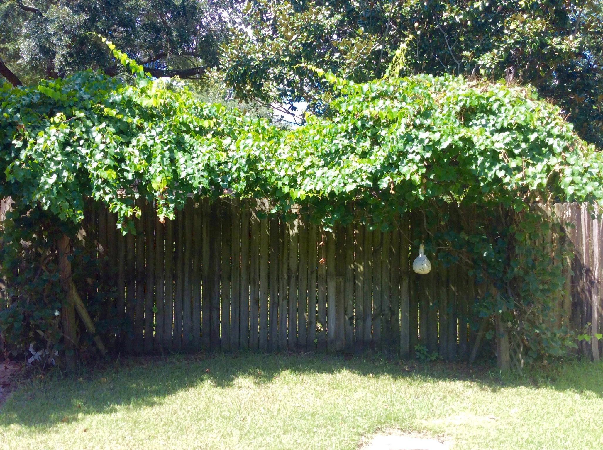 POQUITO BAYOU - Residential