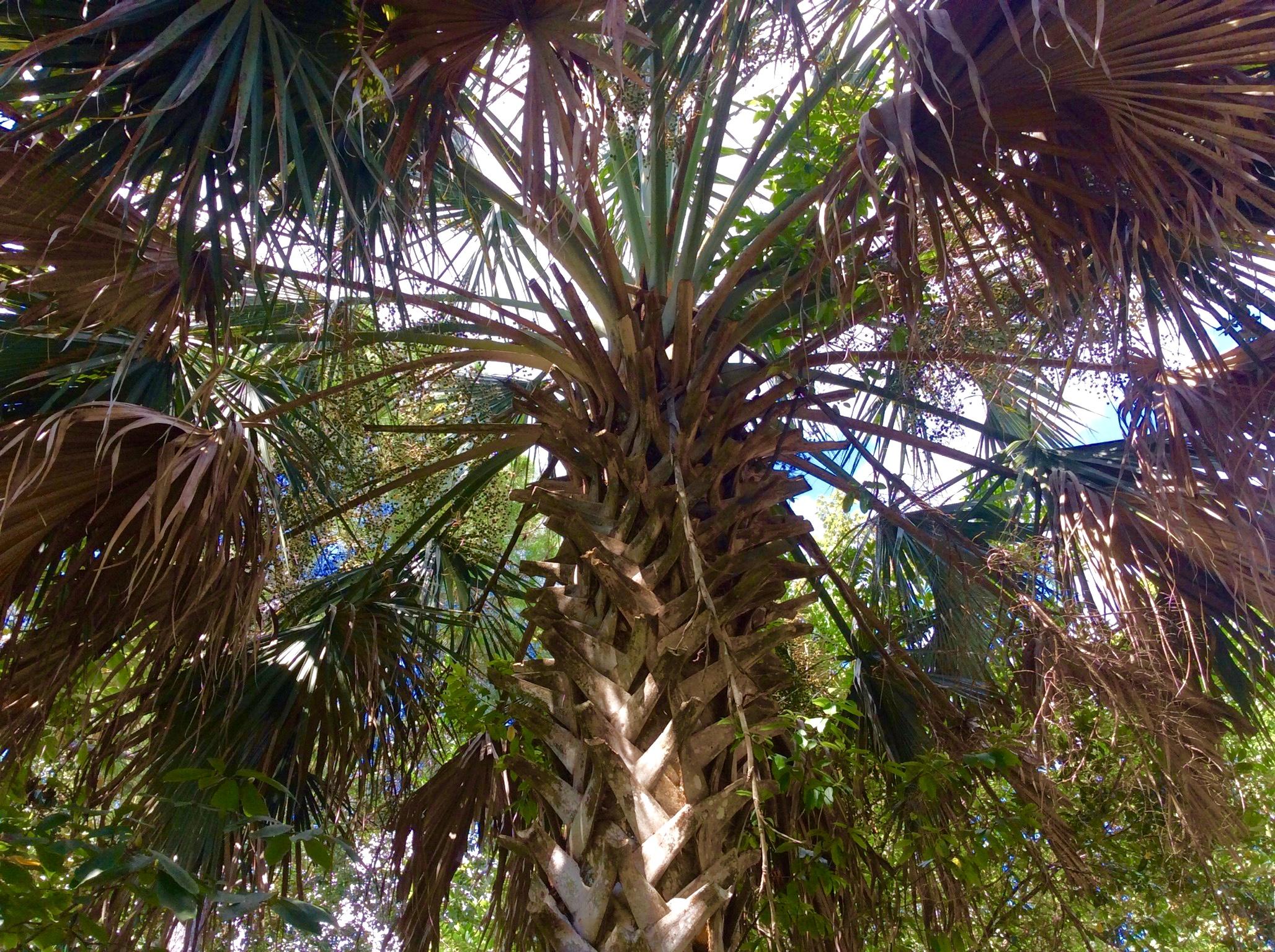 POQUITO BAYOU - Residential