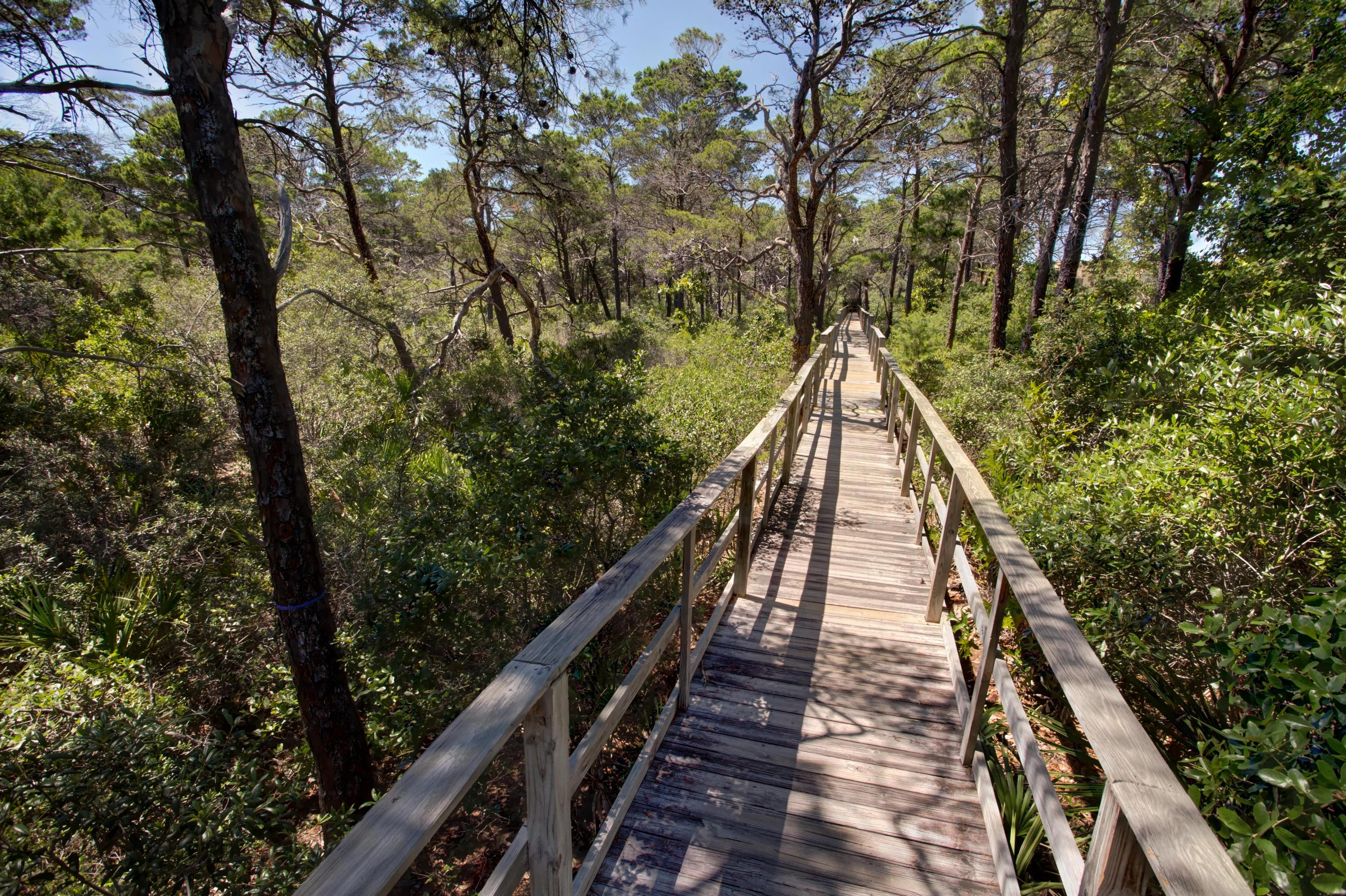 THE PRESERVE AT GRAYTON BEACH - Residential