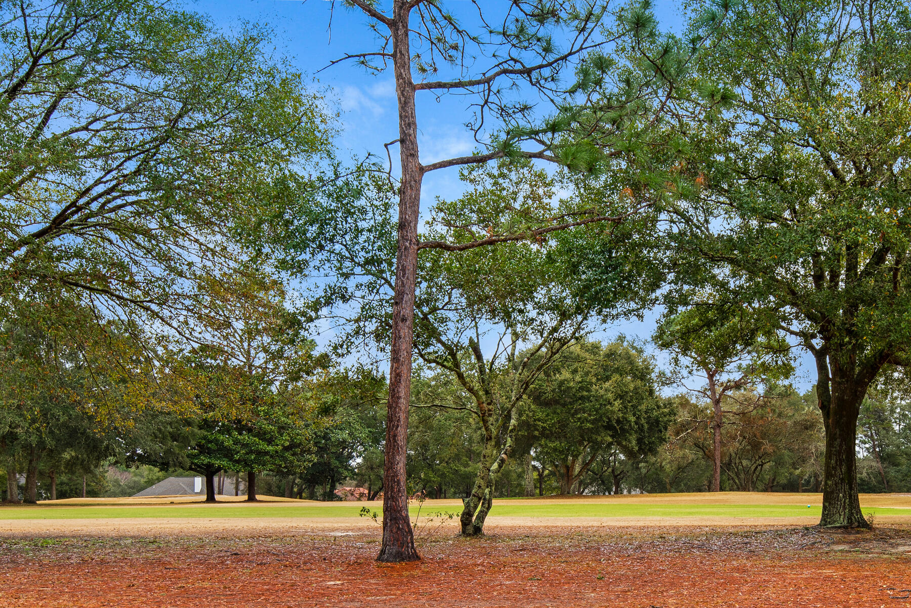 ROCKY BAYOU CC EST #9 LOT 39 - Residential
