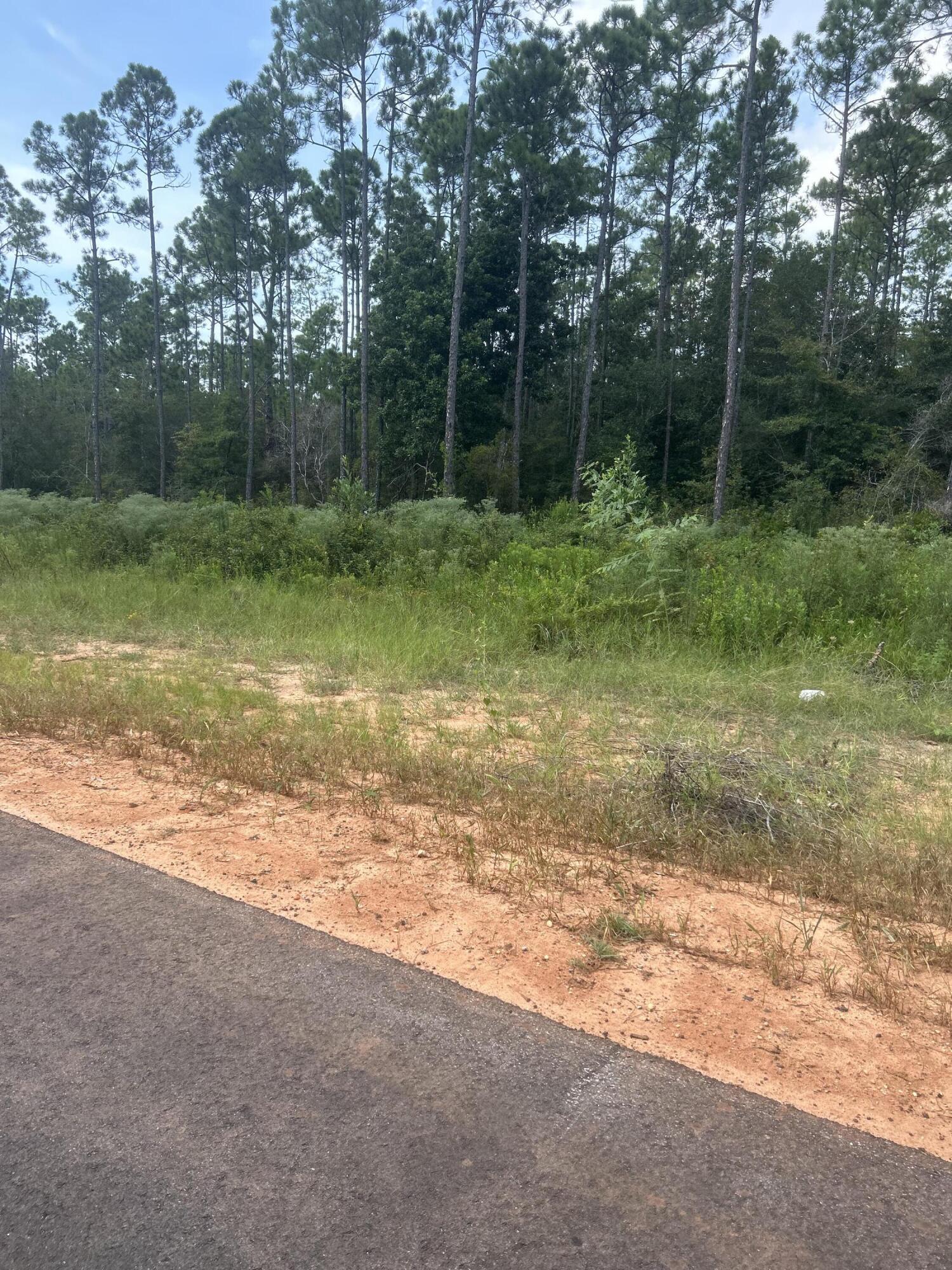 Beautiful 3/4 acre lot in Holley by the Sea!Northwest side with access to 399, water, and electric close by and will need a septic system if building. Dry according to the National Wetlands Mapper with info attached. Come see what this lot has to offer with the multi million dollar Recreation Center 3 pools, pickle ball, tennis, weight room. steam room and much much more!