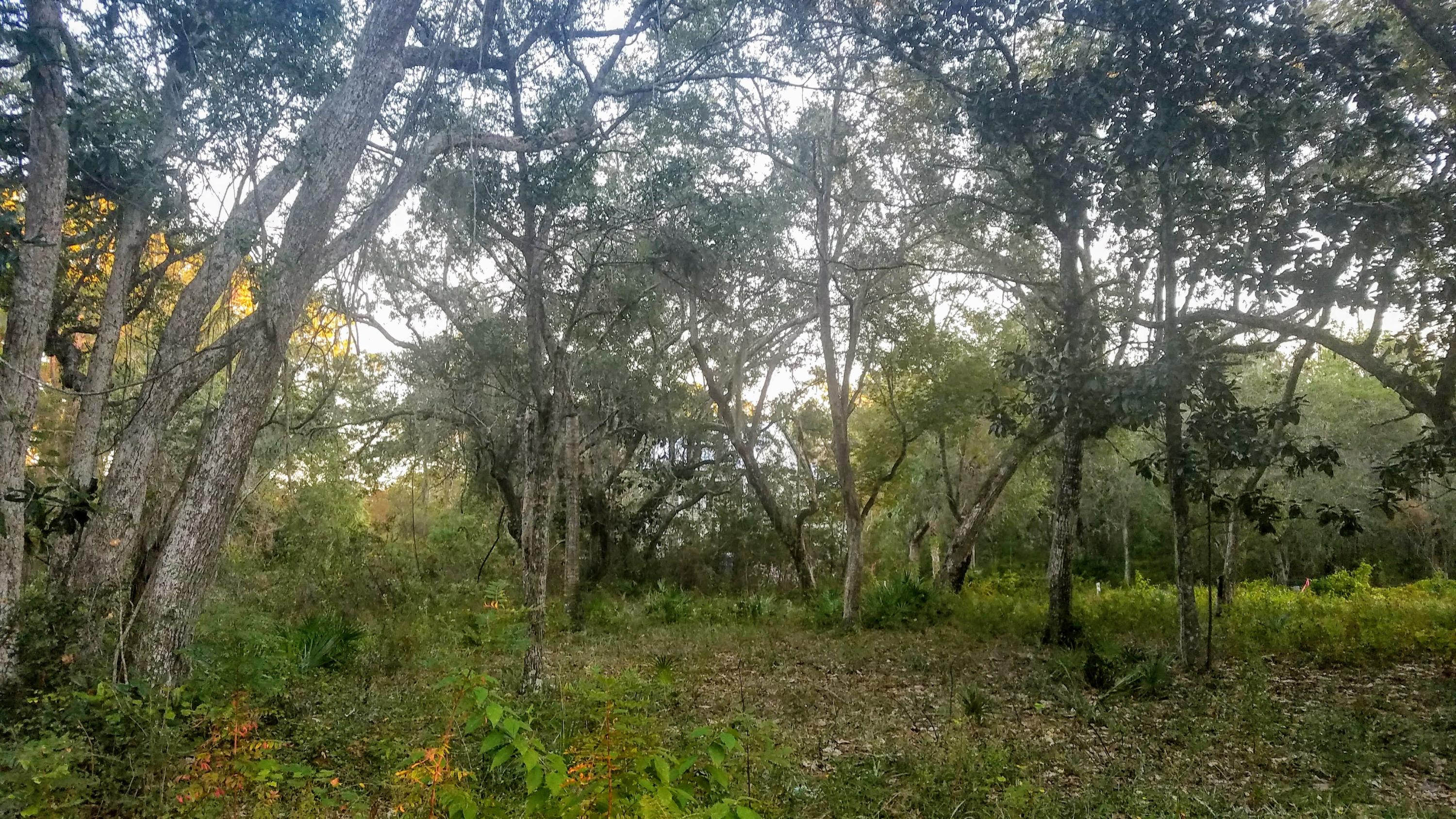 GRAYTON BAYOU - Land