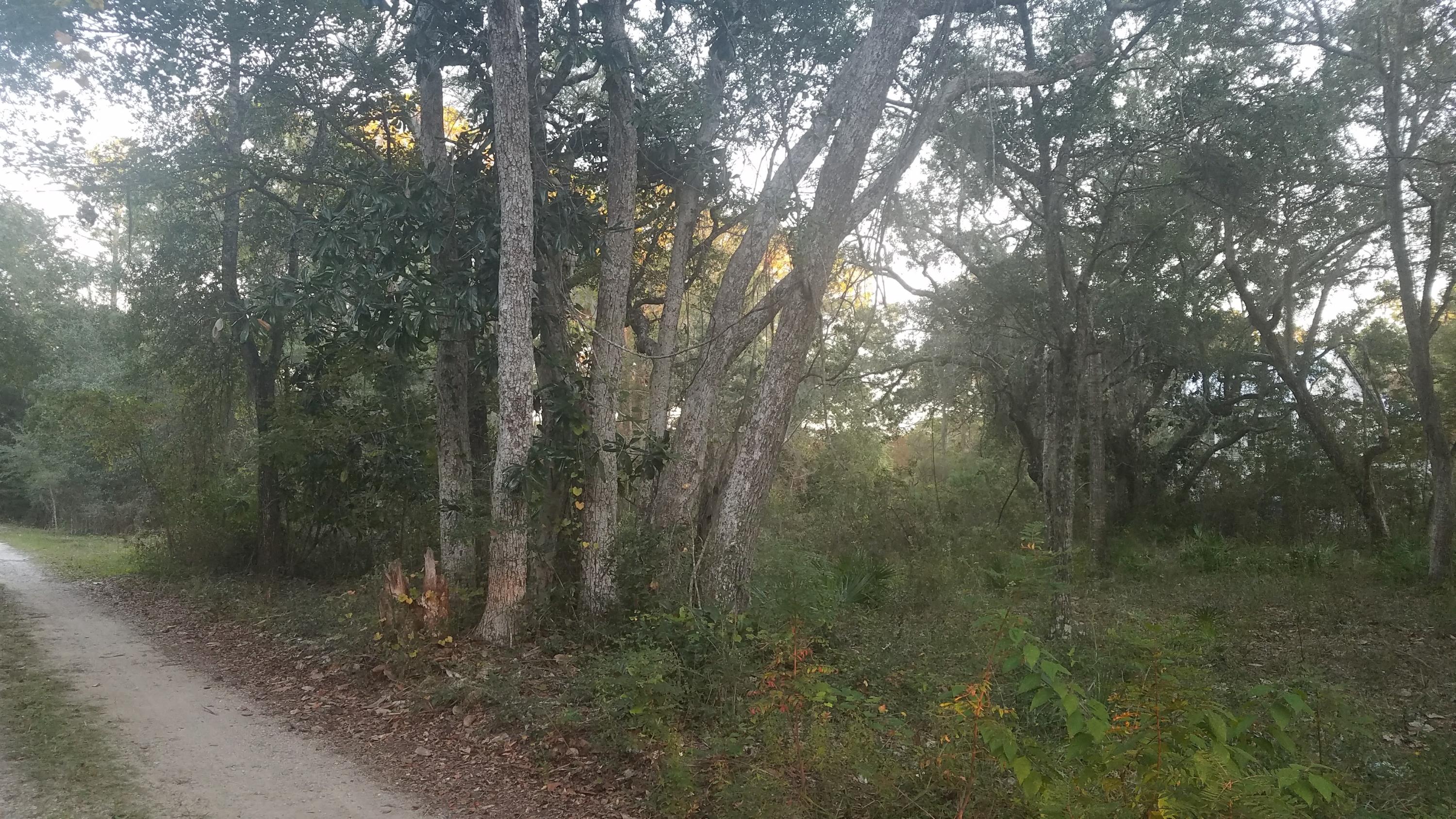 GRAYTON BAYOU - Land