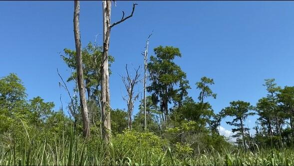 Part of Lot 5 Atzberger Island - Land