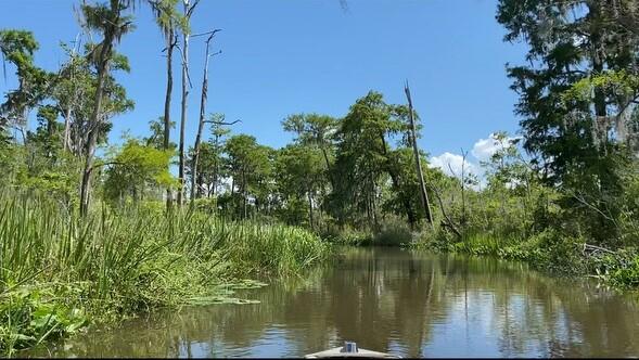 Part of Lot 5 Atzberger Island - Land