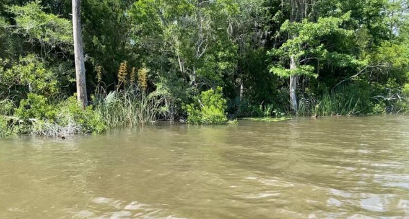 Part of Lot 5 Atzberger Island - Land
