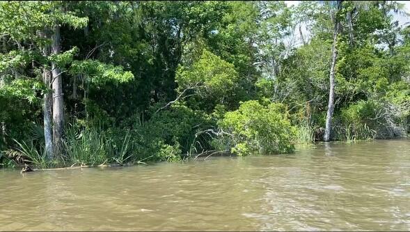 Part of Lot 5 Atzberger Island - Land