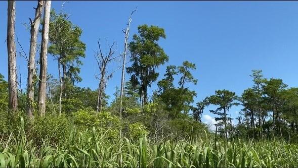 Part of Lot 5 Atzberger Island - Land