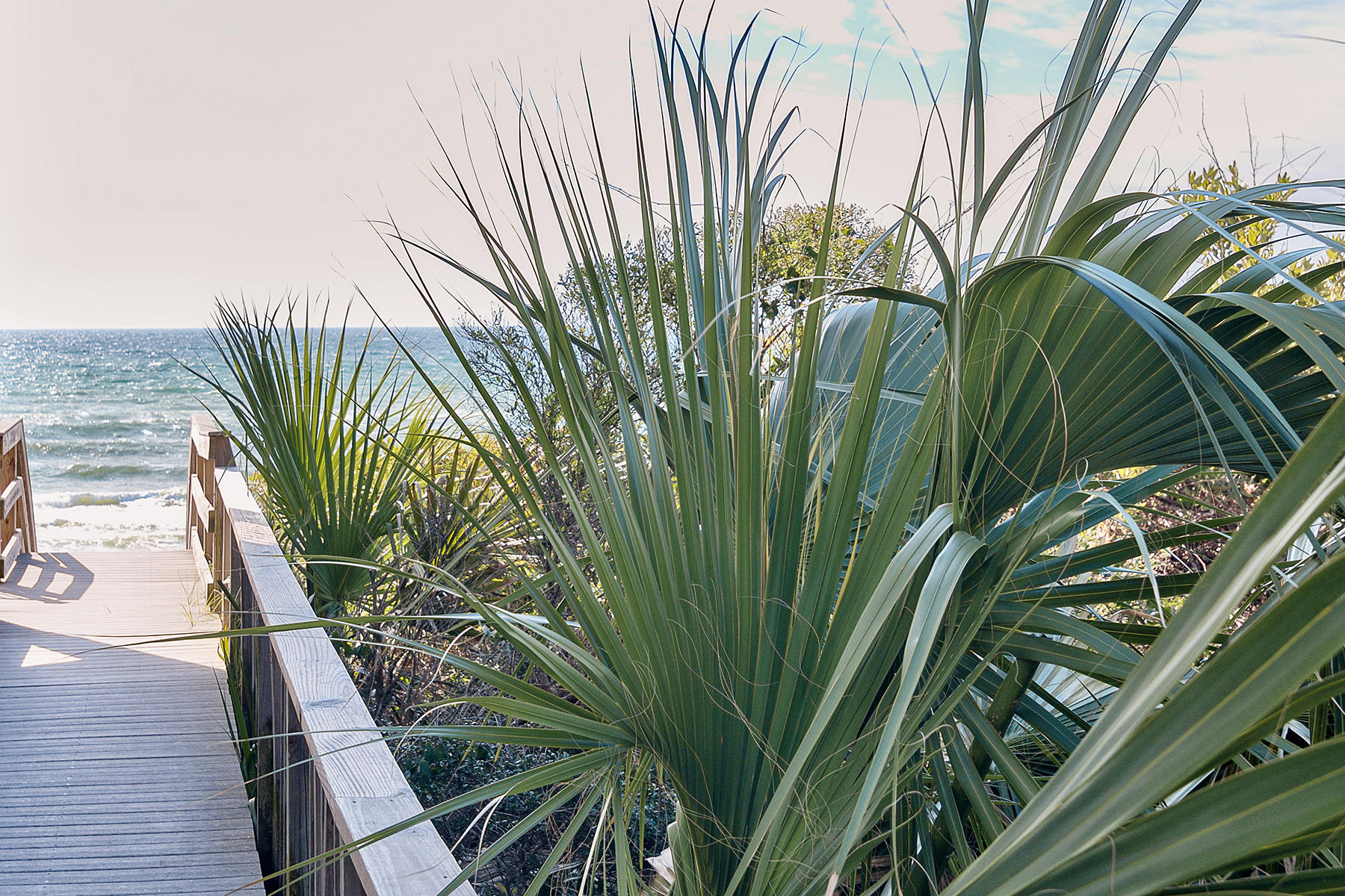 GULF MIST - Residential