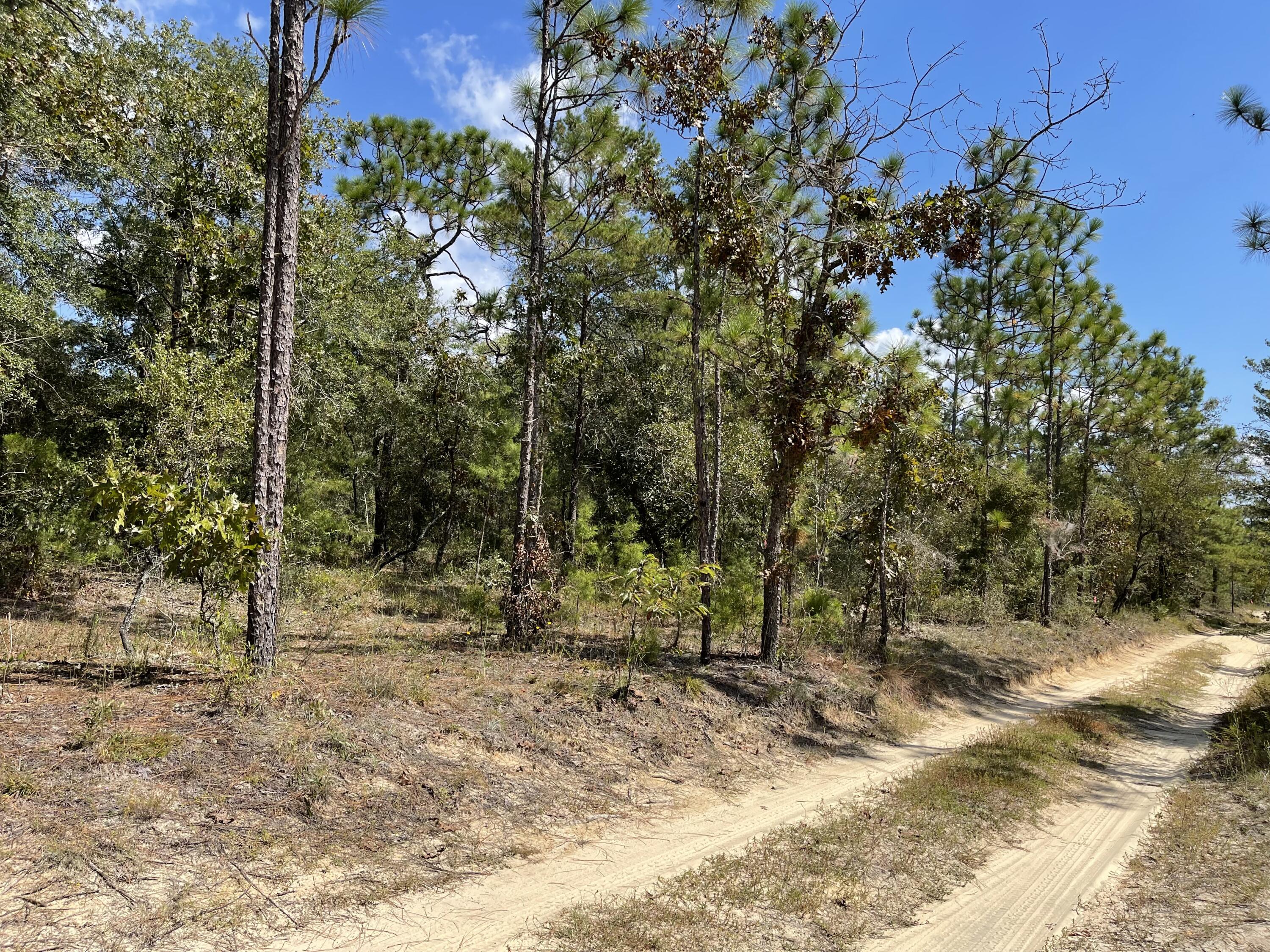 OAKWOOD HILLS UNIT 2 - Land