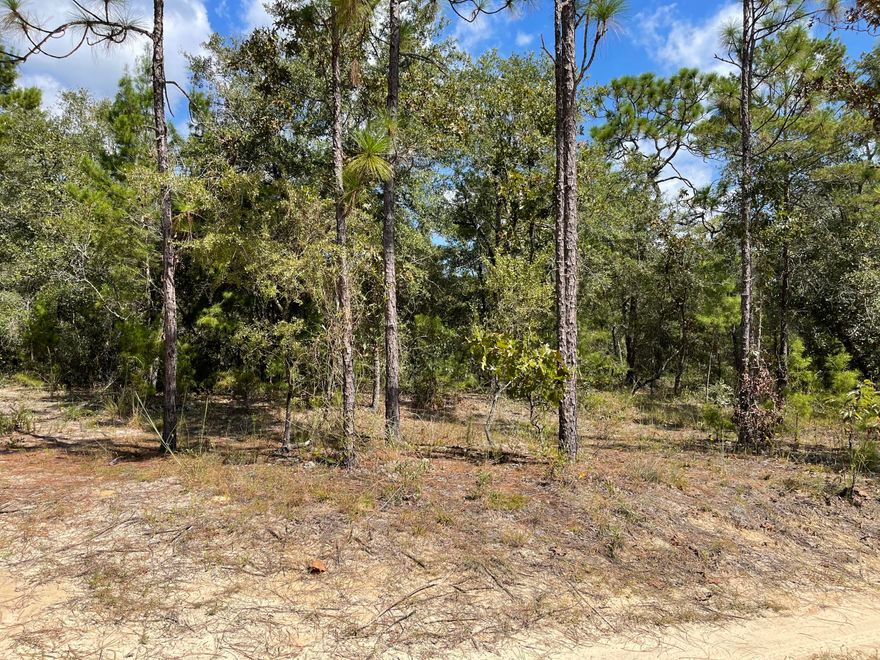 Amazing Value!! Beautiful wood lot approx .23 acres between DeFuniak Springs FL and Mossyhead. Modular homes allowed. No HOA. Minimal Restrictions. There are no existing utilities. Well/Power/Septic required. Power is nearby.Property is Flood Zone X. Per the Walton GIS mapping, the property does not appear to have wetlands. Easy access to the I-10 & CR 285 south making it a great location for work no matter what direction you need to go! You will be approx. 30-45 mins to most workplaces as well as the beautiful white sandy beaches of Florida famous Emerald Gulf Coast and Crab Island.  Buyer needs to verify building codes, zoning regulations, wetlands and flood zones, etc with proper local authorities to ensure buyer will be able to utilize the property for intended use. Information contained within this listing is deemed to be accurate but is not guaranteed.

All dimensions shown are approximately only per CRS Property Data Report. A Survey must be completed to confirm property lines and dimensions.

