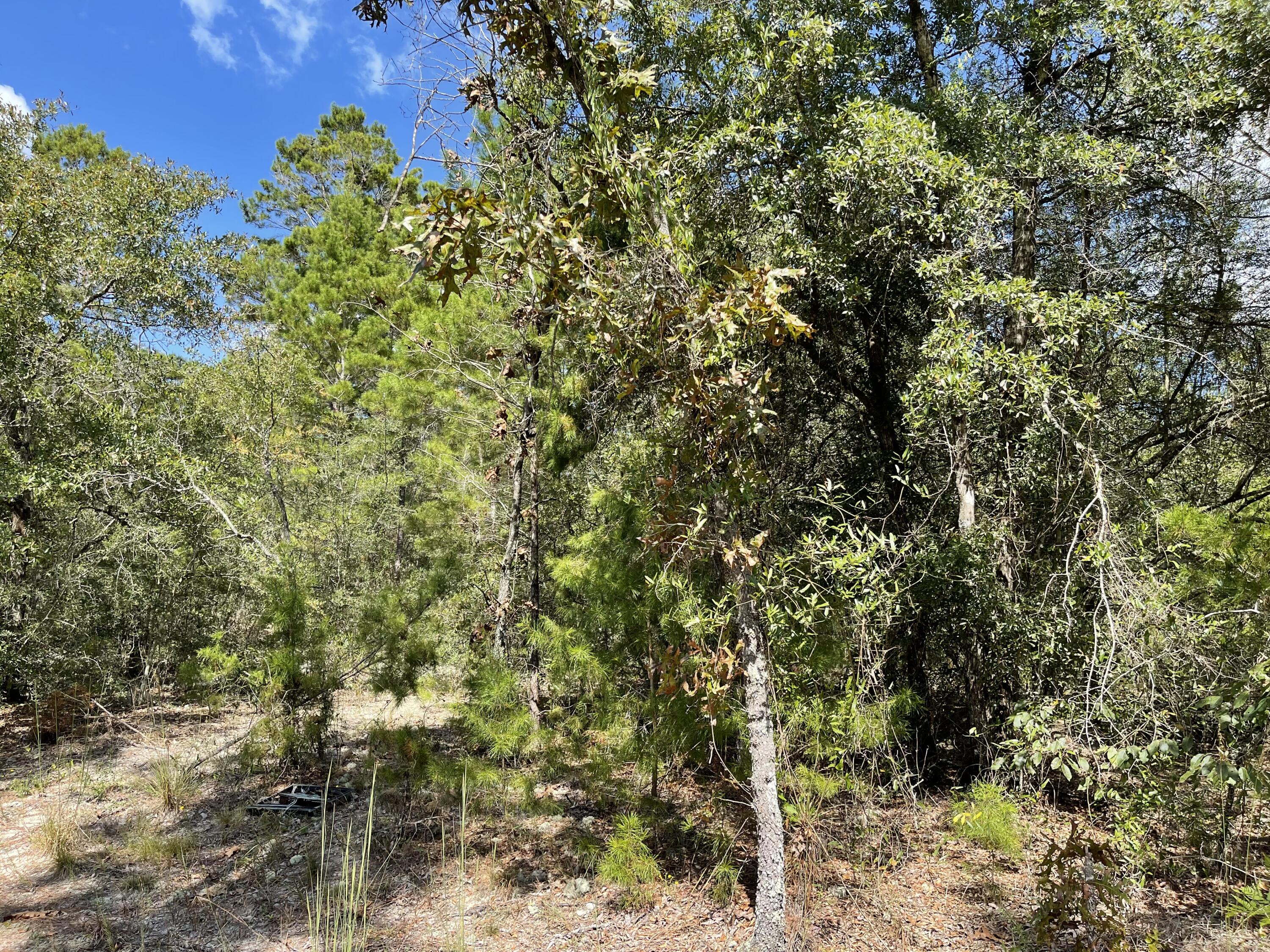 OAKWOOD HILLS UNIT 2 - Land