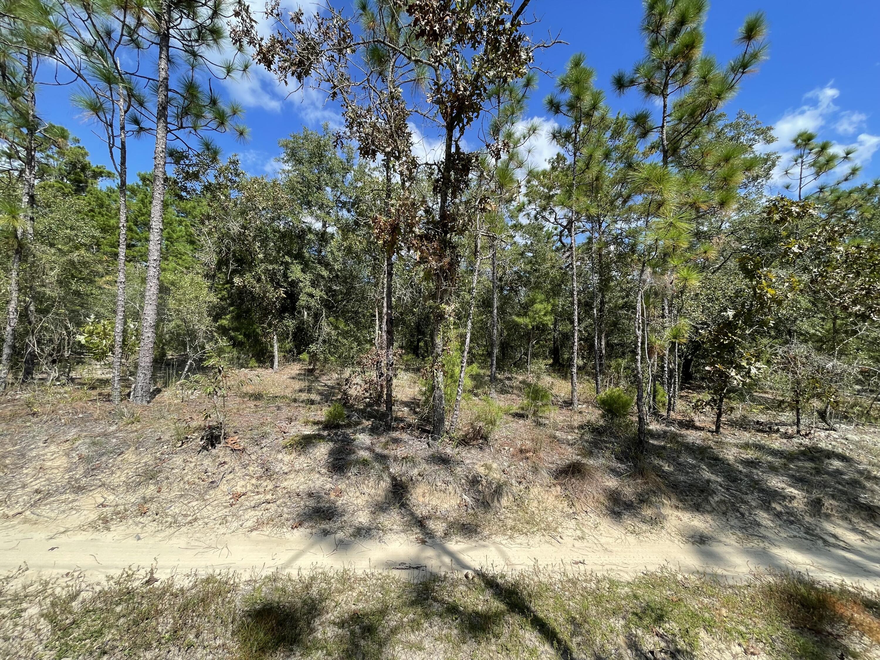 OAKWOOD HILLS UNIT 2 - Land