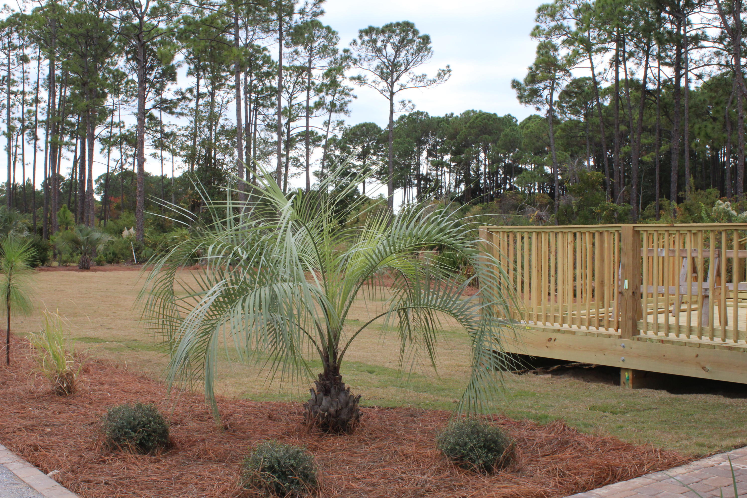 Walton Way - Residential