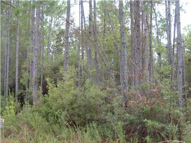 Great lot in growing Eden Estates with restrictive covenants. 1/2 acre lot with county water and sewer available. Tap fee due.