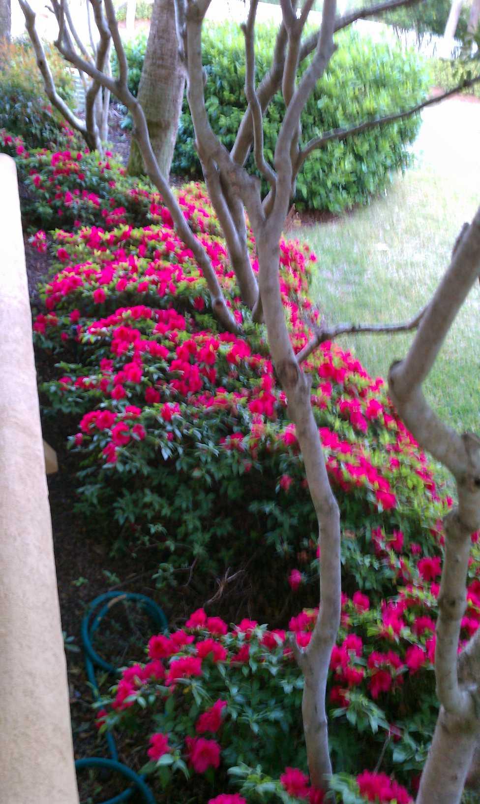 CALUSA BAY S/D - Residential