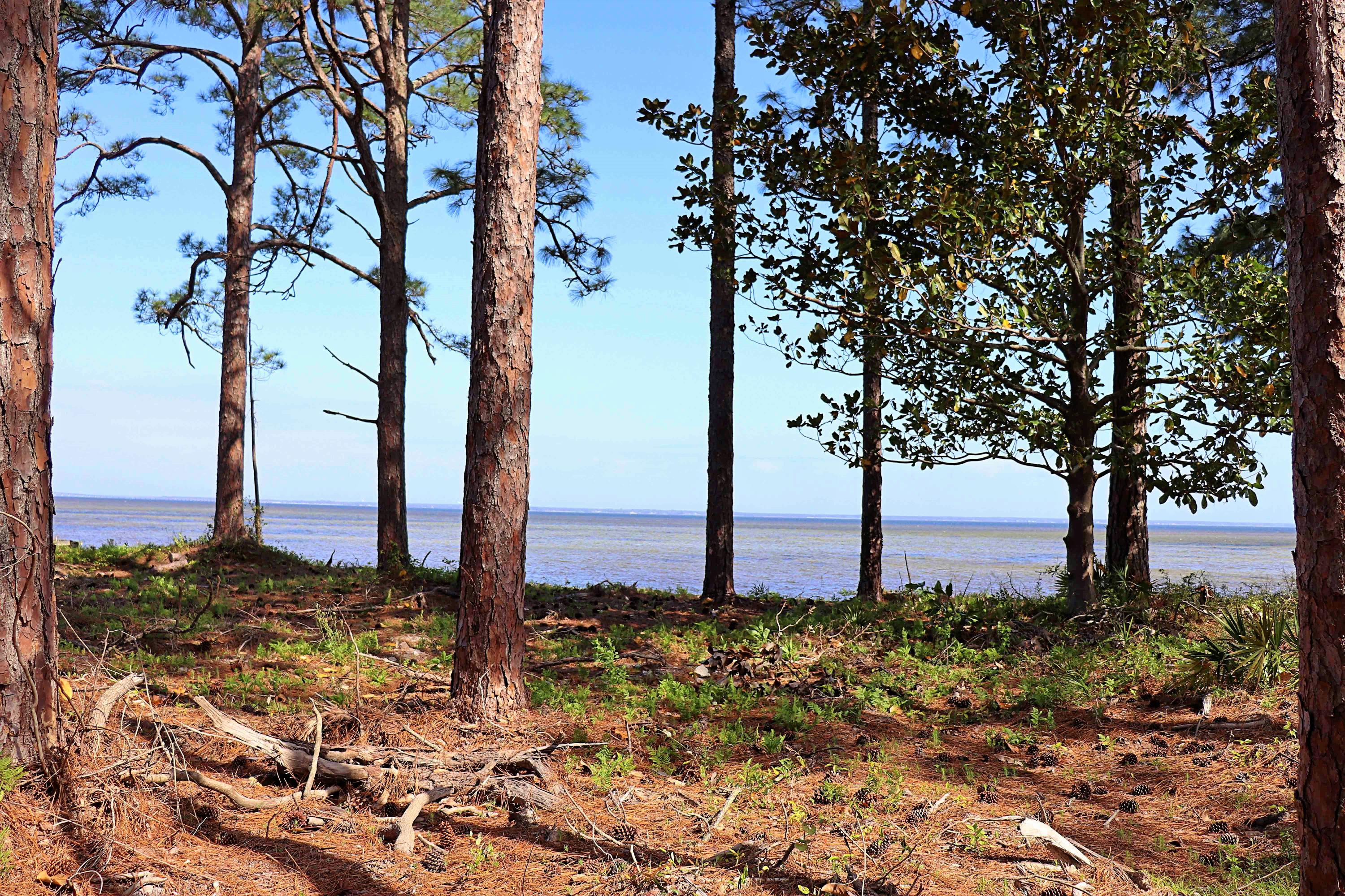 HOLIDAY SHORES ESTATES 1ST ADDN - Land