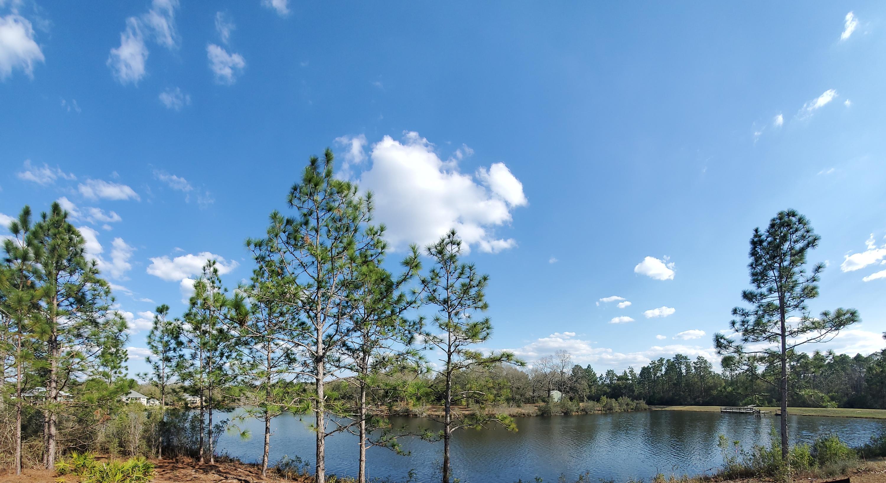 LAKE ARTHUR EST PH II - Residential