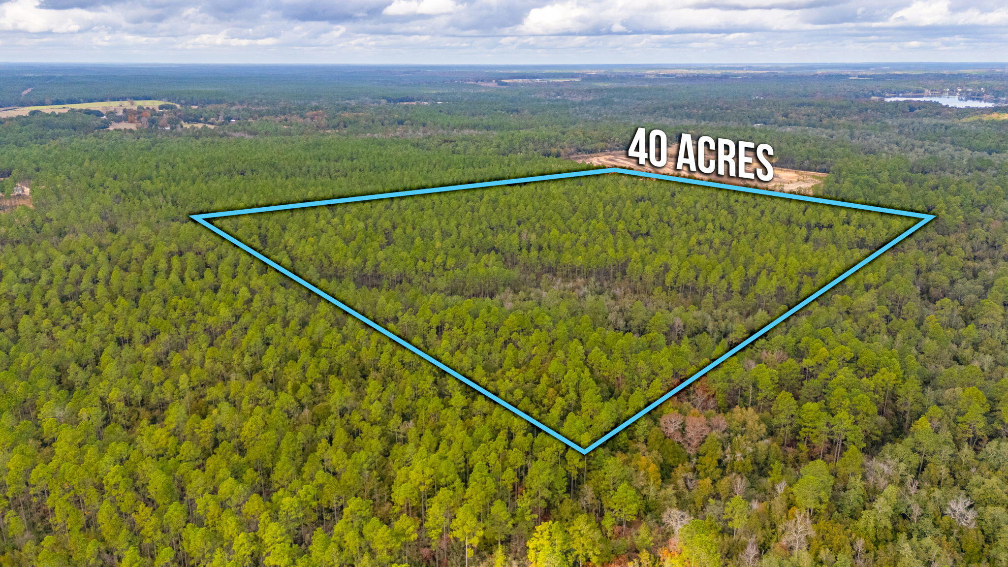 Discover your slice of natural paradise where 40 pristine acres await your vision. This remarkable property presents a perfect blend of possibility and privacy, featuring around 34.5 acres timber and 5.5 acres of hard wood. Whether you're dreaming of a cozy hunting retreat or planning your forever home, this canvas is ready for your masterpiece.Don't miss this opportunity to own a remarkable piece of Florida's landscape.