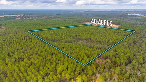 Photo of 40 Acres Brooklyn Drive, DeFuniak Springs, FL 32433 (MLS # 965020) Photo of 40 Acres Brooklyn Drive, DeFuniak Springs, FL 32433 (MLS # 965020)