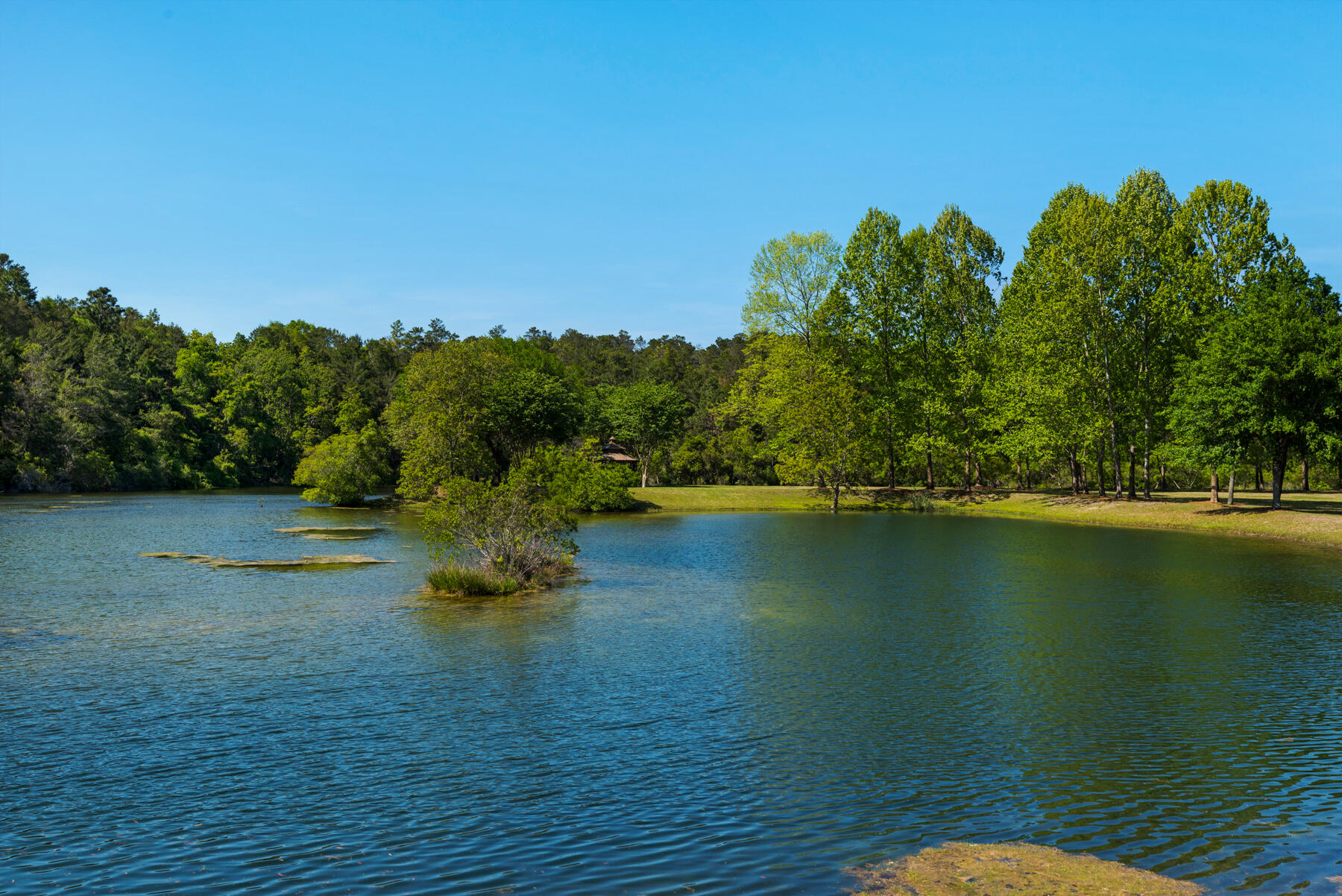 SWIFT CREEK PH 4 - Residential