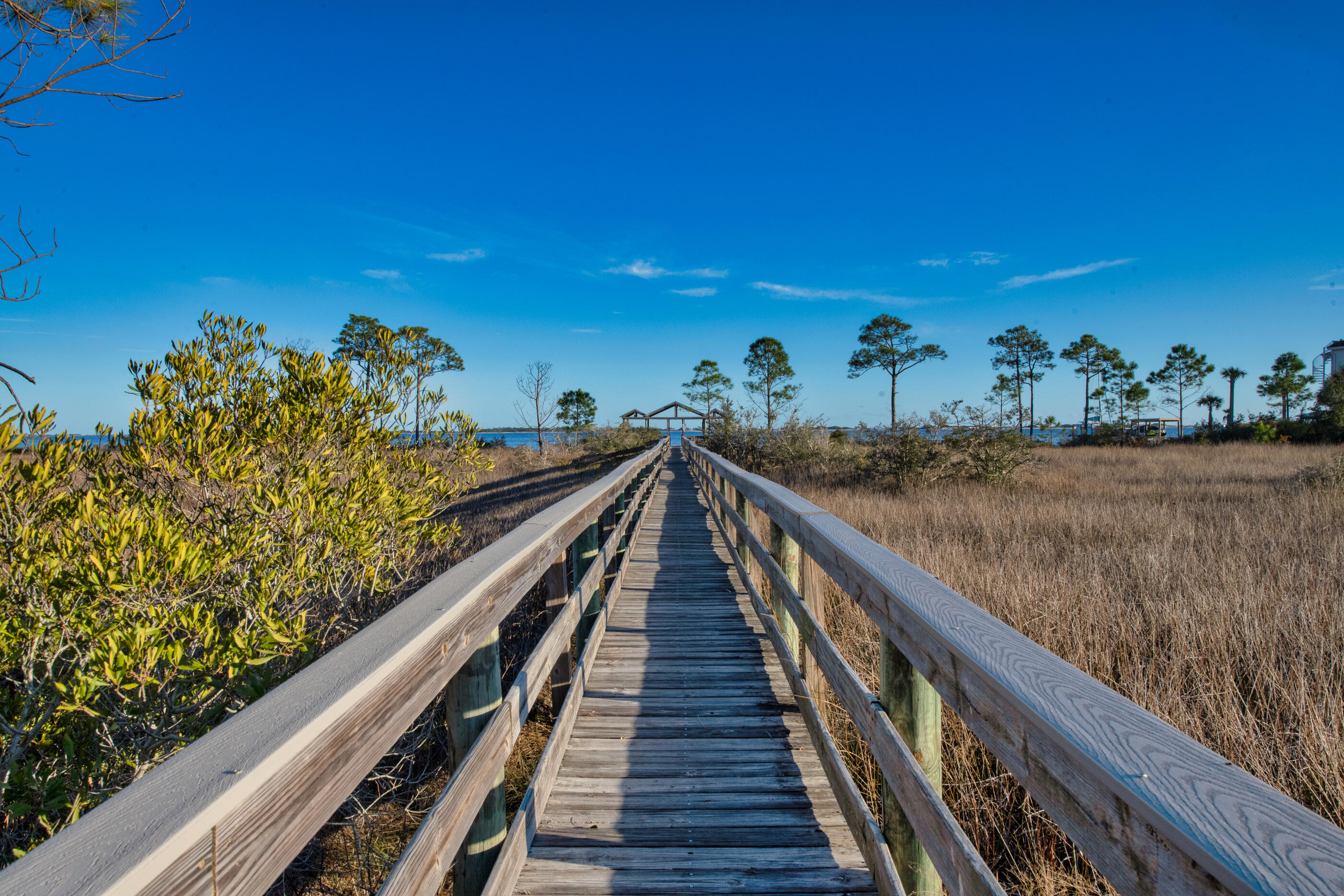 BISCAYNE POINTE - Residential