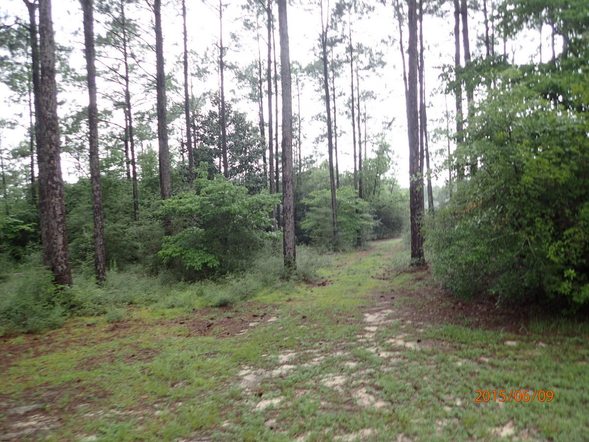 FORE DEER RANCH - Residential