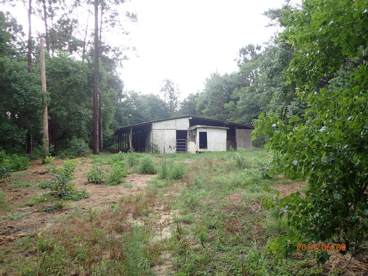 FORE DEER RANCH - Residential