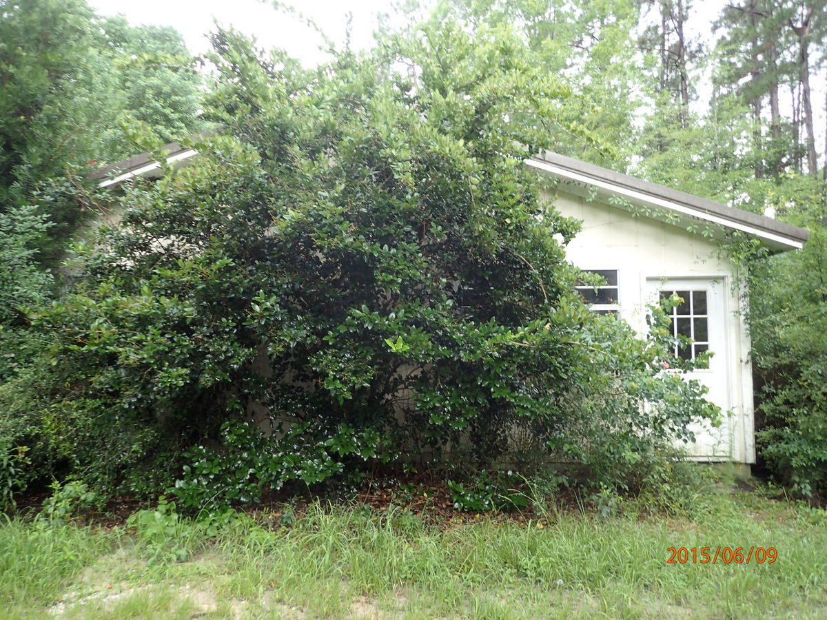 FORE DEER RANCH - Residential