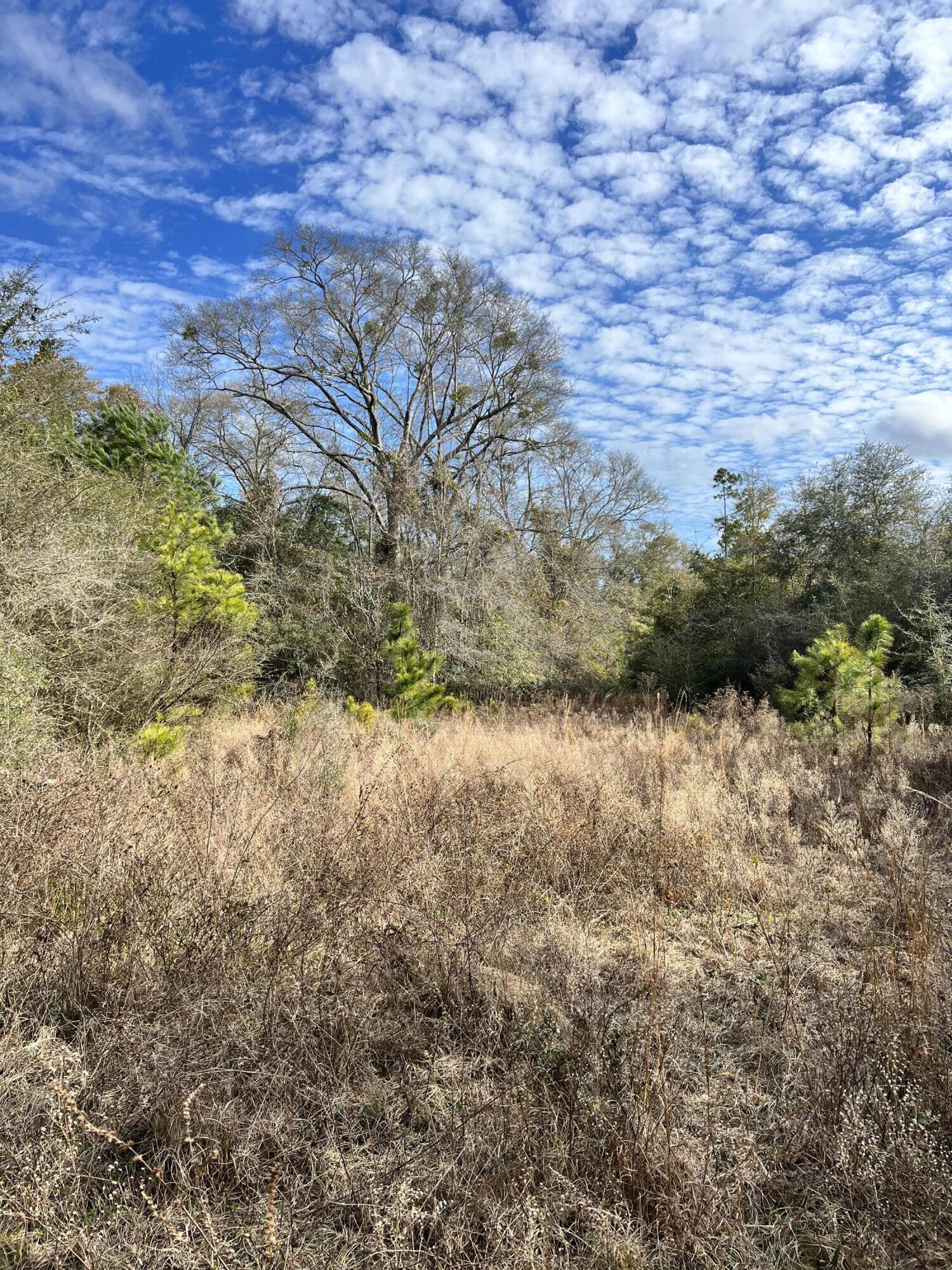 NORTH SUPERGROUP - Land