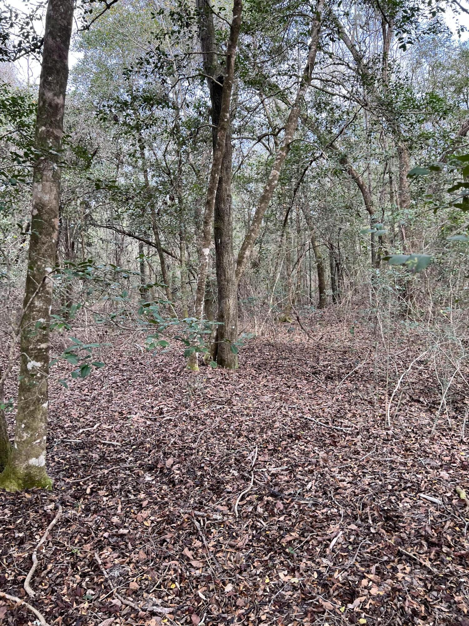 NORTH SUPERGROUP - Land