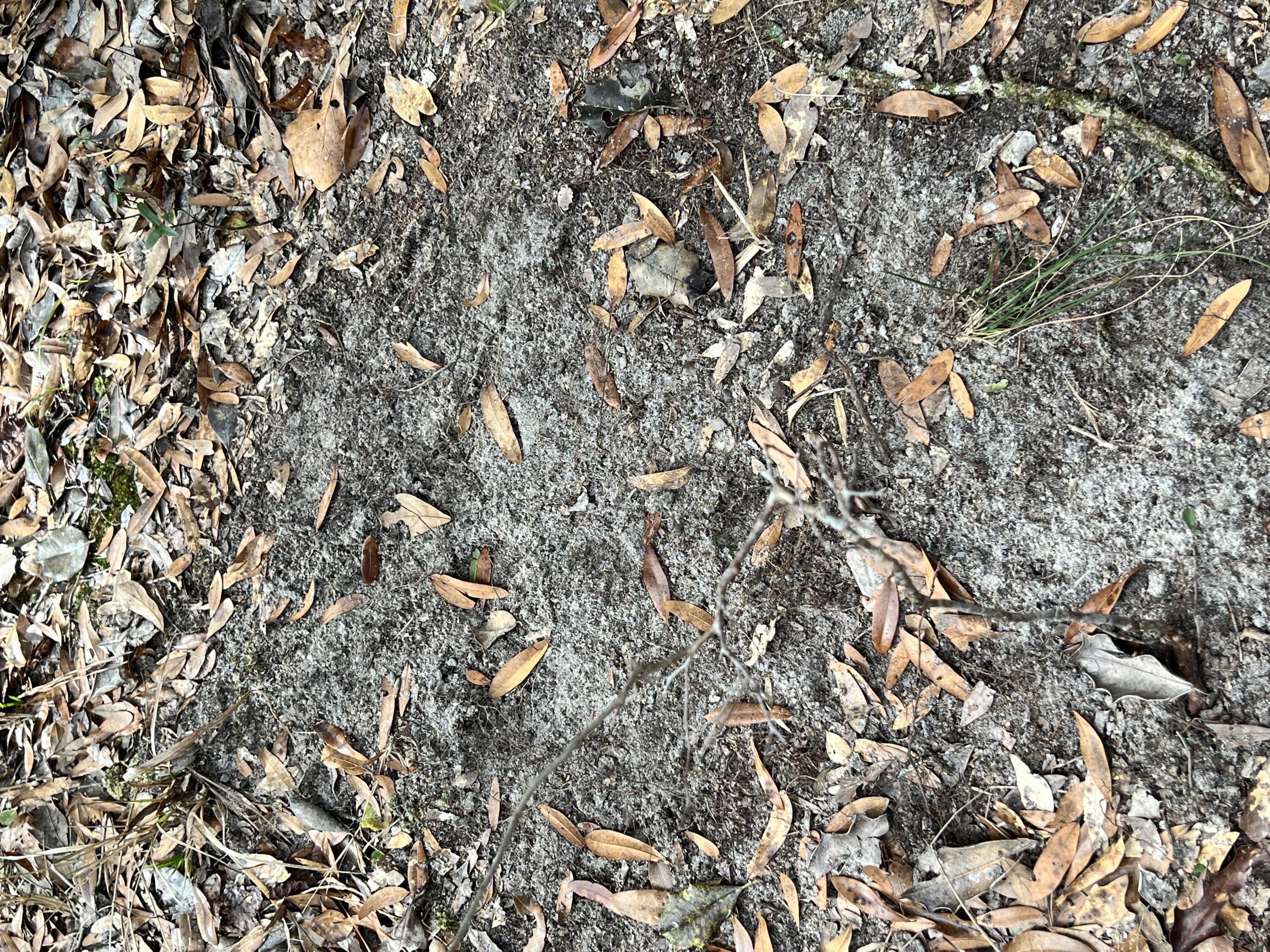 NORTH SUPERGROUP - Land